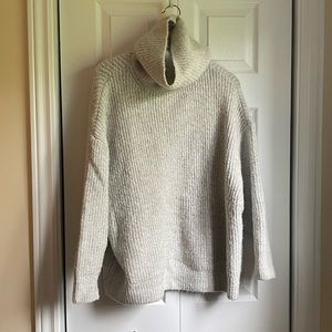Zara Knit Turtleneck